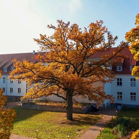 Parkresidenz Lychen, Ferienwohnung 8 Kültér fotó