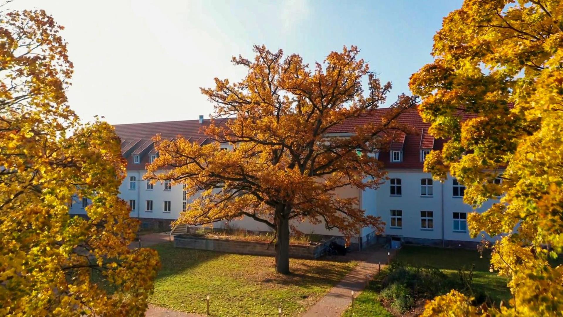 Parkresidenz Lychen, Ferienwohnung 8 Kültér fotó