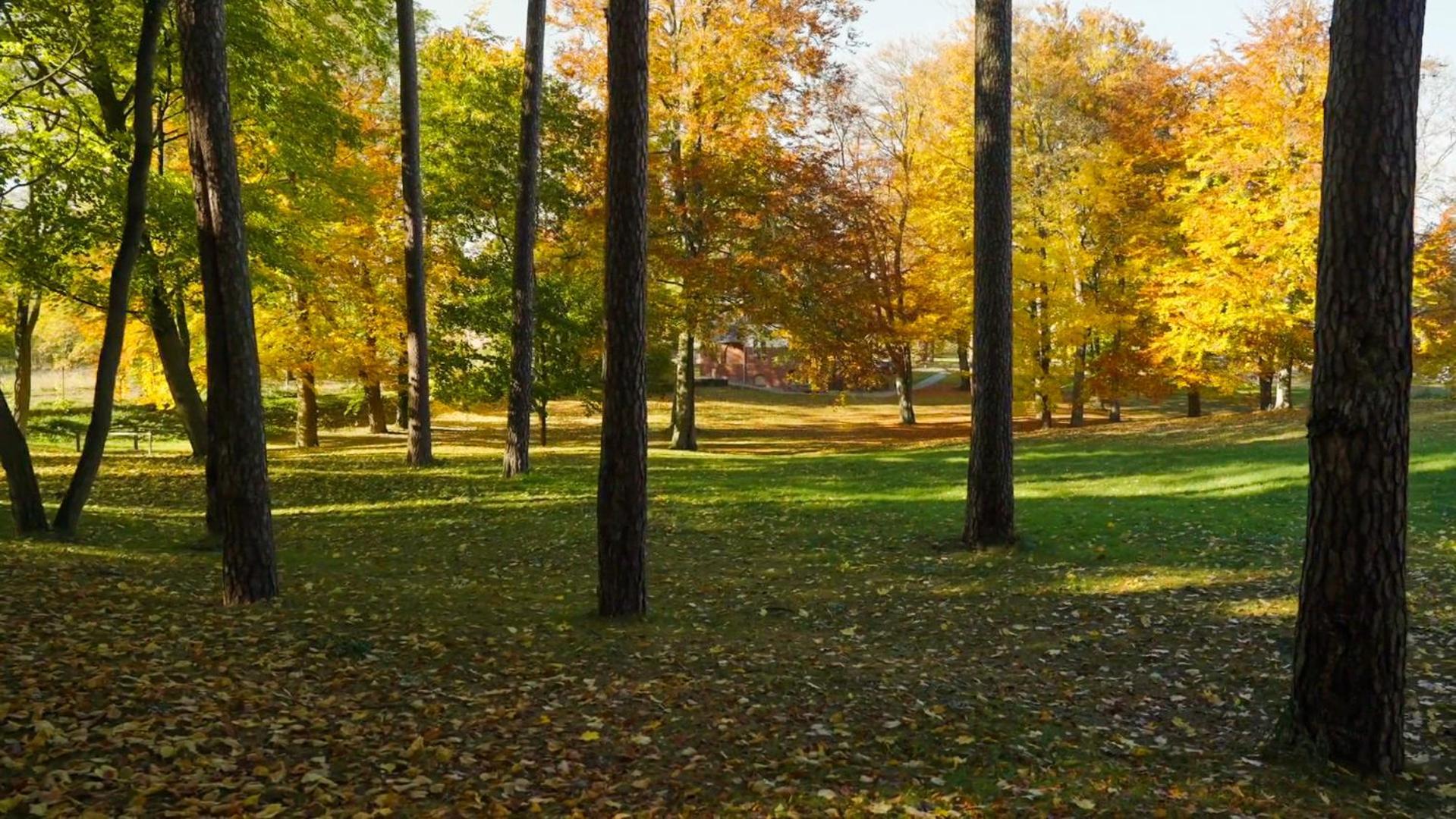 Parkresidenz Lychen, Ferienwohnung 8 Kültér fotó